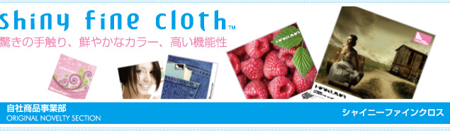 シャイニーファインクロス